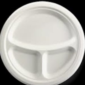 10” 3 Compartment Plates x500