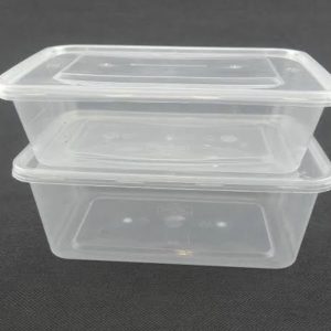 Plastic Takeaway Container x300