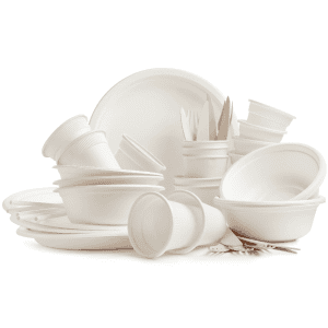 Disposal Plates and Bowls