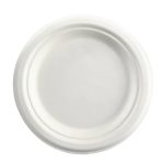 sugarcane plates pack of 500