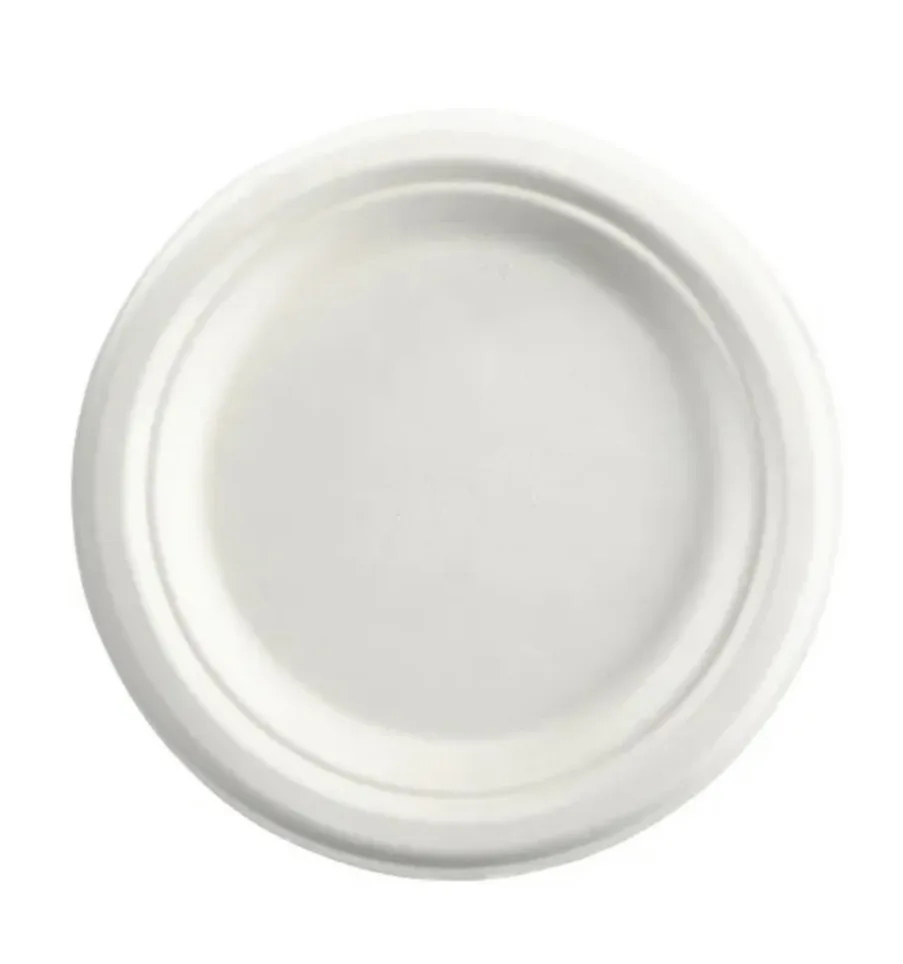sugarcane plates pack of 500