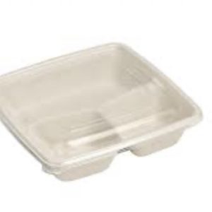 Bagasse Containers x50