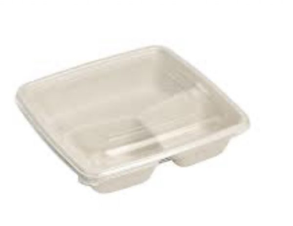 Bagasse Containers x50