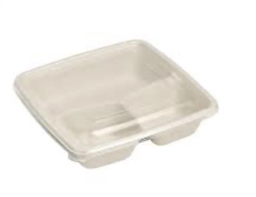Bagasse Containers x50