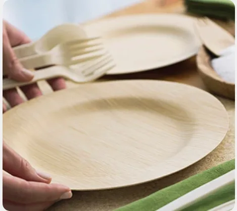 Biodegradable Sugarcane Plates: A Smart Choice 5 Screenshot 2025 08 04 170132 png