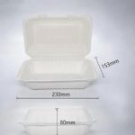 BioBox Sugarcane Snack Box 900ml (250PCS)