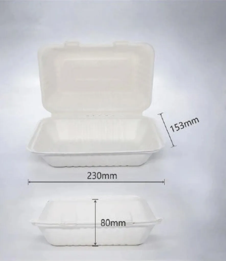BioBox Sugarcane Snack Box 900ml (250PCS) 1 BioBox Sugarcane Snack Box 900ml (250PCS)