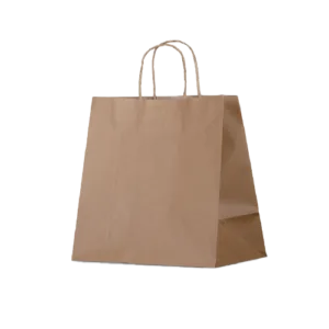 MEDIUM TWISTED HANDLE PAPER BAG