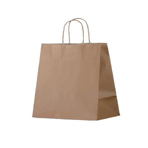MEDIUM TWISTED HANDLE PAPER BAG 1 MEDIUM TWISTED HANDLE PAPER BAG